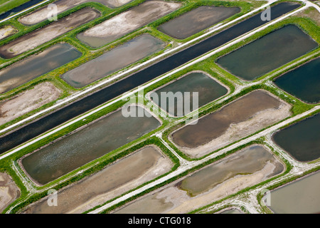 Les Pays-Bas, Broek in Waterland. Volgermeerpolder appelé Polder. Réserve naturelle. L'ancien dépotoir. Vue aérienne. Banque D'Images