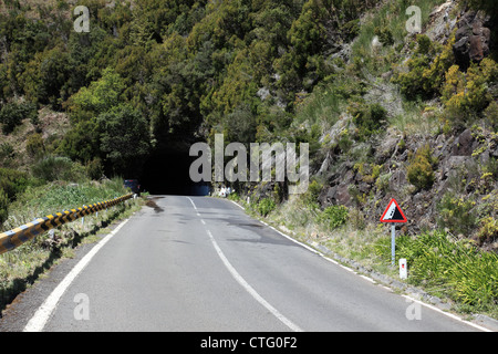 Route de campagne avec tunnel à Paul da Serra, Madeira, Portugal, Europe. Photo par Willy Matheisl Banque D'Images