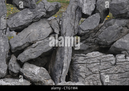 Une section d'un mur de calcaire sec sur le Burren, comté de Clare, Irlande Banque D'Images