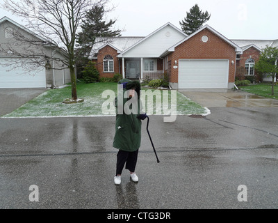 Une personne âgée retraitée intrépide dans ses années 90, serrant son capot en soufflant par temps de neige froide en avril 2012 Canada Ontario Banque D'Images