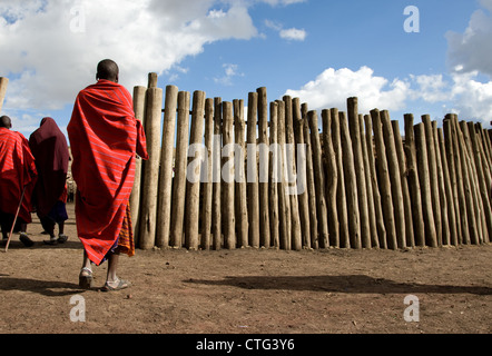 Les Massaïs, les Masai, gens, Masaï en Tanzanie, Afrique. Banque D'Images