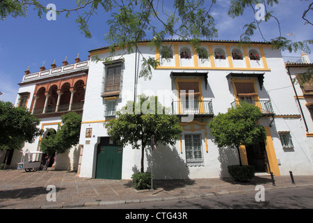 Espagne, Andalousie, Séville, la Casa de Pilatos, Banque D'Images