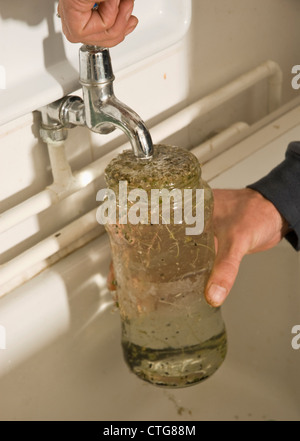 Kelvedon une saucisse végétarienne traditionnelle galloise 'King', poireau, homme mains tenant une bouteille avec des graines sous un robinet d'eau. Banque D'Images