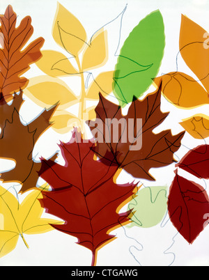 COLLAGE MOTIF FEUILLES D'AUTOMNE Banque D'Images