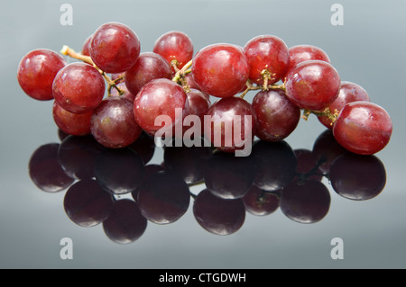 Petite grappe de raisin sur fond noir réfléchissante Banque D'Images