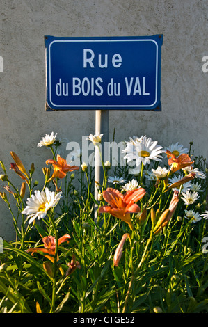Rural typique français bleu village local street sign entouré de fleurs de printemps à la fin de l'après-midi soleil France Banque D'Images