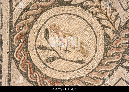 Italie, Rome, Ostia Antica, mosaïque romaine des quatre saisons Banque D'Images