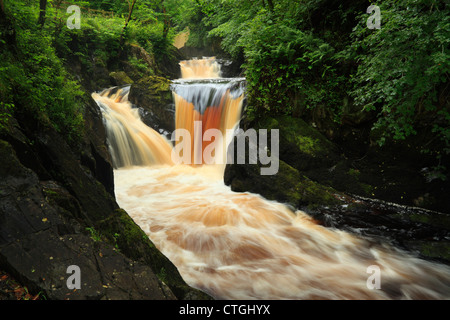 Pecca Falls est l'un des plusieurs cascades le long de la rivière Twiss en été près de Ingleton dans le Yorkshire Dales de l'Angleterre Banque D'Images