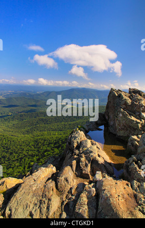 Sur peu de Stony Man Mountain, sentier des Appalaches, le Parc National Shenandoah, en Virginie, USA Banque D'Images