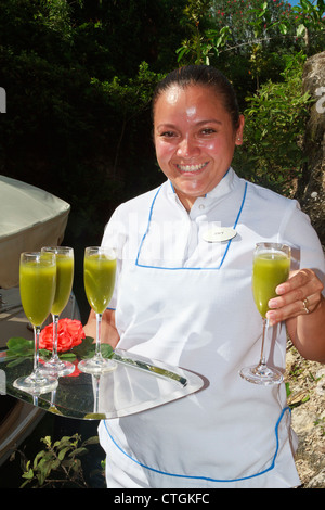 Les clients de l'hôtel sert une femme de verres de jus avec chaya feuilles, Riviera Maya, Mexique Banque D'Images