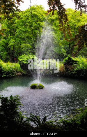 Derwent gardens derbyshire Matlock Bath england uk Banque D'Images