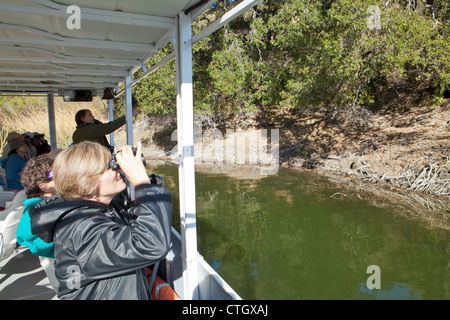 Excursion en bateau de la faune, Cachuma Lake, Santa Ynez Valley, Californie, États-Unis d'Amérique Banque D'Images