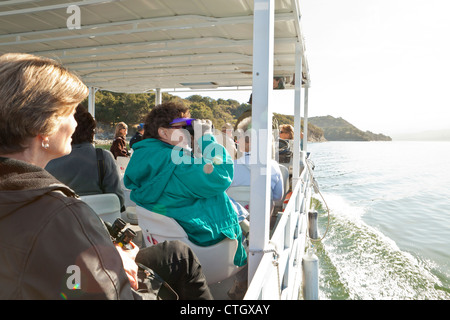 Excursion en bateau de la faune, Cachuma Lake, Santa Ynez Valley, Californie, États-Unis d'Amérique Banque D'Images