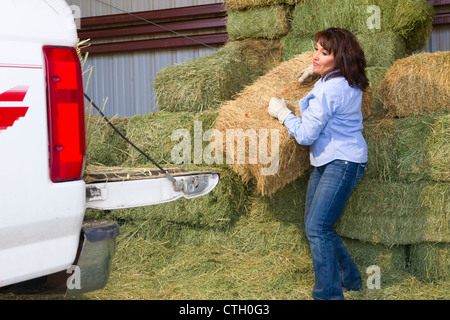 Hispanic woman Loading hay sur chariot Banque D'Images