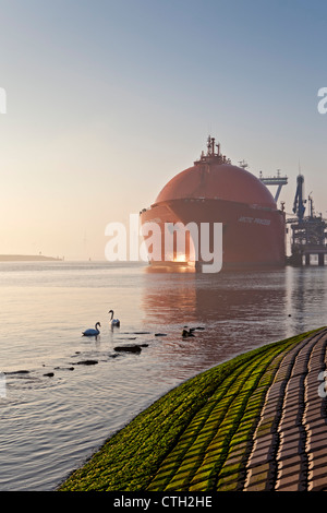 Les Pays-Bas, Rotterdam, Port. Pétrolier norvégien le transport du gaz naturel liquide (GNL). Banque D'Images