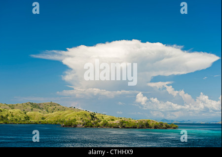 Thunder chefs entourent l'île de Komodo dans l'archipel indonésien accueil du célèbre dragon de Komodo. Banque D'Images