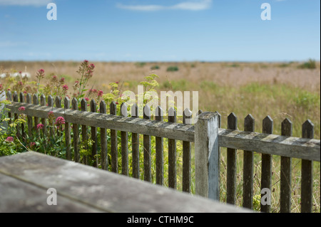 Vue sur la baie de Hollesley dans la rue Shingle avec une clôture de piquetage au premier plan. Shingle Street Beach, Aldeburgh, Suffolk, East Anglia, Angleterre Royaume-Uni Banque D'Images