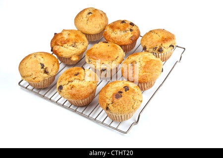 Muffins aux pépites de chocolat banane fait maison sur une grille. Banque D'Images