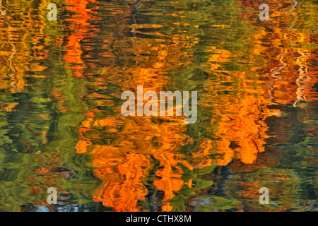 Arbre d'automne reflets dans le ruisseau Junction, le Grand Sudbury (Lively), Ontario, Canada Banque D'Images