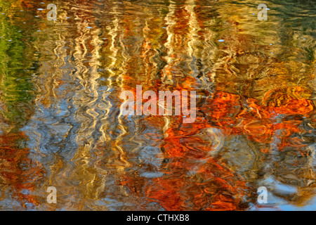 Arbre d'automne reflets dans le ruisseau Junction, le Grand Sudbury (Lively), Ontario, Canada Banque D'Images