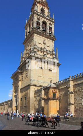 L'Espagne, Andalousie, Cordoue, la Mezquita, Cathédrale, Banque D'Images