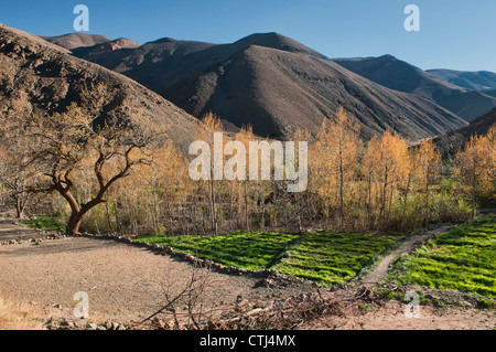 Paysage spectaculaire dans le sud de l'Atlas, Maroc Banque D'Images