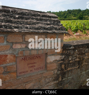 Domaine Jacques Prieur Musigny Grand Cru vineyard wall stone signe au-dessus de Chateu Clos de Vougeot en Bourgogne, France Banque D'Images