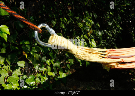 Hamac entre les arbres d'attelage Banque D'Images