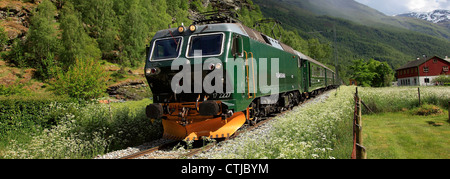 Train sur la voie ferrée près de la ville de Flam Flam, Aurlandsfjorden, Fjord de Sogn og Fjordane, région de Norvège, Scandinavie, l'Europe. Banque D'Images