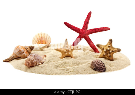 Les coquillages et les étoiles de mer sur les tas de sable isolated on white Banque D'Images