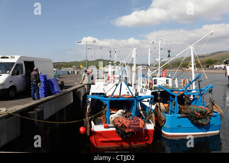 De petits bateaux de pêche atterrissent leurs prises dans le port de Largs sur le Firth de Clyde, North Ayrshire, Écosse, Royaume-Uni Banque D'Images