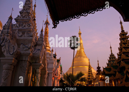 Le stupa doré de la pagode Shwedagon au coucher du soleil à Yangon (Rangoon), le Myanmar (Birmanie) Banque D'Images