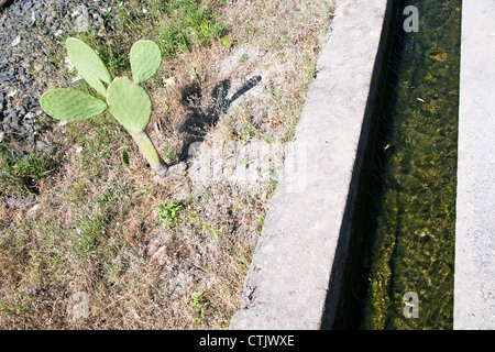 Canal d'irrigation en Sicile Banque D'Images