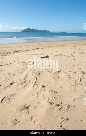 Marée basse sur Wongaling beach, une section de Mission Beach, à l'ensemble de la mer de Corail à Dunk Island Banque D'Images