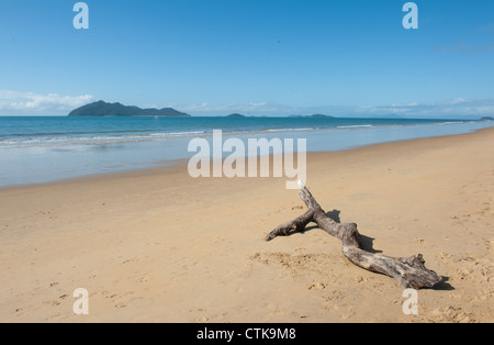 Wongaling beach de Mission Beach sur la côte casoar avec Dunk Island en vue et Driftwood découverte à marée basse Banque D'Images