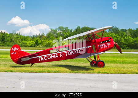 Classic 1923 Fokker biplan IVA sur piste gazonnée. Banque D'Images