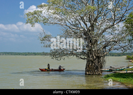 Sur le lac, les pêcheurs Sri Lanka Banque D'Images