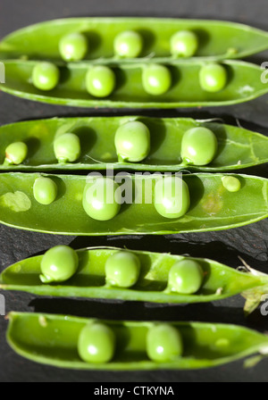 Les pois verts en dosettes Banque D'Images