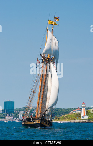 Pride of Baltimore II participe au festival des grands voiliers de 2012 à Halifax, en Nouvelle-Écosse. Banque D'Images