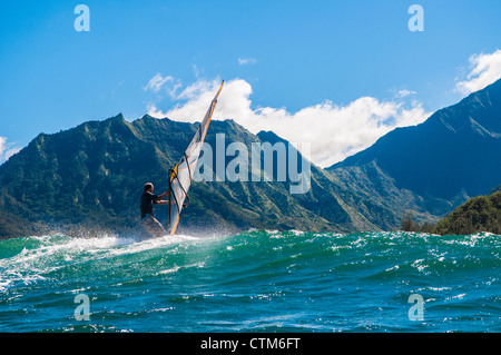 Planche à voile dans la baie de Hanalei, Kauai, Hawaii Banque D'Images