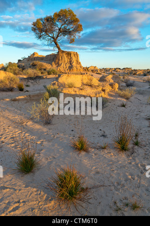 Les tendances dans les dunes de sable les murs de la Chine à Mungo National Park, New South Wales, Australie Banque D'Images