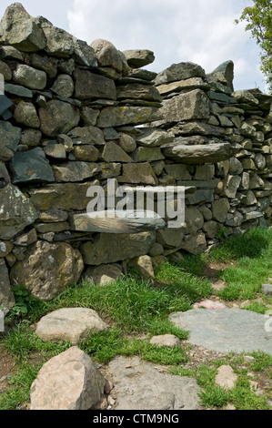 Pas de stile installé dans mur de pierre sèche Cumbria Lake District National Park Angleterre Royaume-Uni Grande-Bretagne Banque D'Images