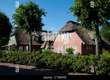 Maison de chaume dans village de Sankt Peter Ording, Eiderstedt péninsule, Schleswig-Holstein, Allemagne du nord Banque D'Images