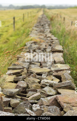 Mur en pierre sèche Mendip Hills Somerset England UK Banque D'Images