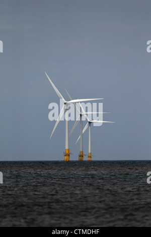 Éoliennes Norfolk GB UK Juin 2012 Banque D'Images