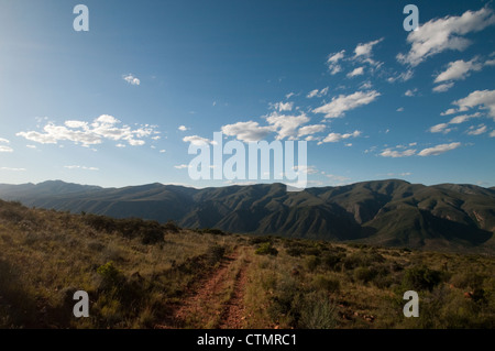 Montagnes Paysage, Baviaanskloof, Province orientale du Cap, Afrique du Sud Banque D'Images