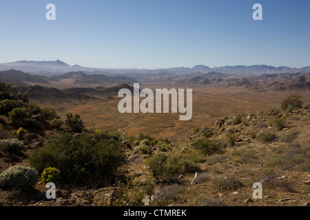 Le Richtersveld est situé dans le nord de l'Afrique du Sud Namaqualand, Province du Cap du Nord Banque D'Images