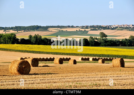 Campagne Puy de Dome Auvergne Massif Central France Banque D'Images