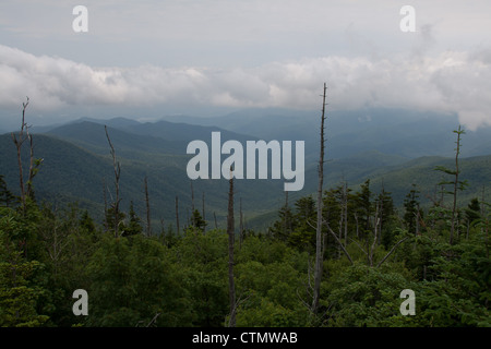 Vue depuis le dôme Clingman, Great Smoky Mountains National Park, États-Unis Banque D'Images