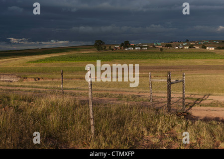 Vue sur la colline de Qunu, le village où Nelson Mandela a vécu comme un enfant, le Transkei, Eastern Cape, Afrique du Sud Banque D'Images